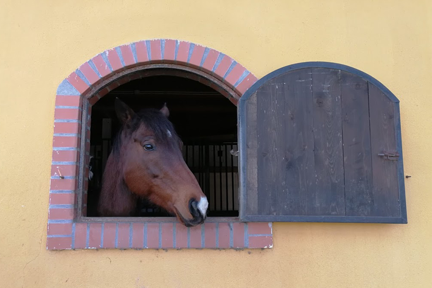 Oro di San Rossore