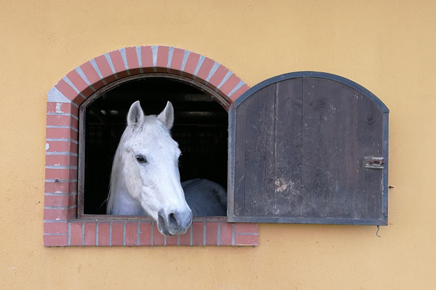 Vittoria