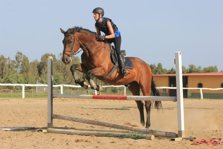 lezioni a cavallo