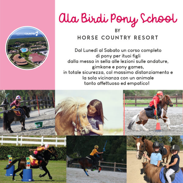 ala birdi pony school